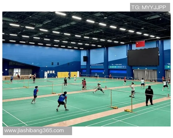 羽毛球的魅力之旅:深入南京羽毛球队的训练与比赛节奏 羽毛球的魅力之旅:深入南京羽毛球队的训练与比赛节奏